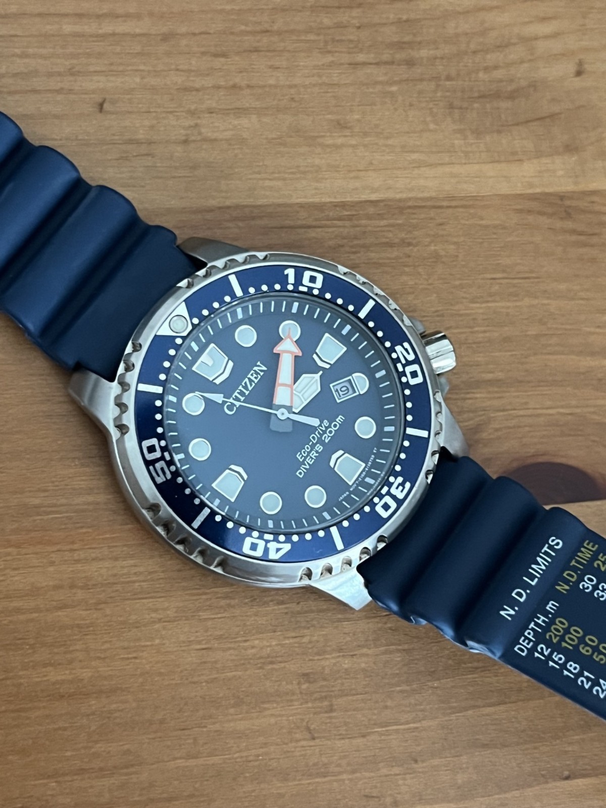 Citizen Promaster Diver Men’s Eco Drive Watch