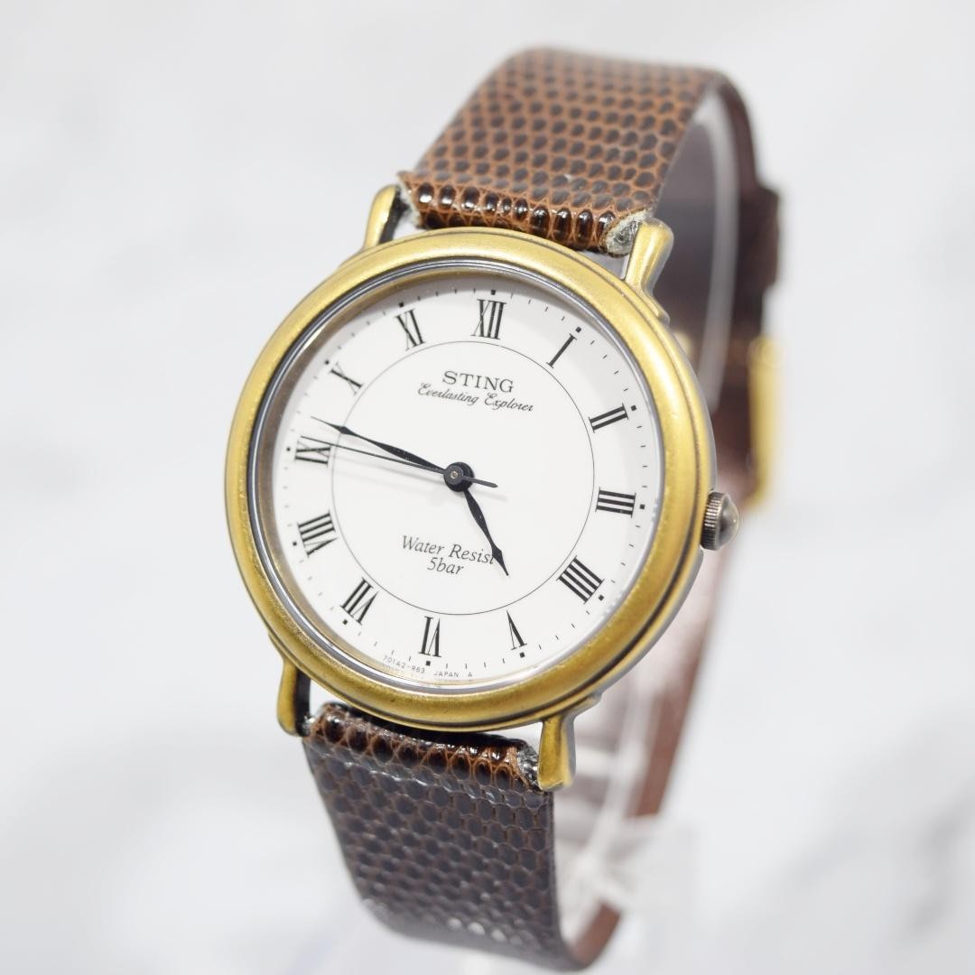 Casio Sting 1997 Explorer Watch Rare Vintage