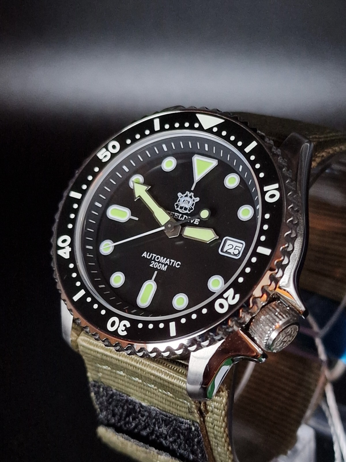 Seiko NH35A Automatic Mechanical 41mm Military Dive Watch by Steeldive