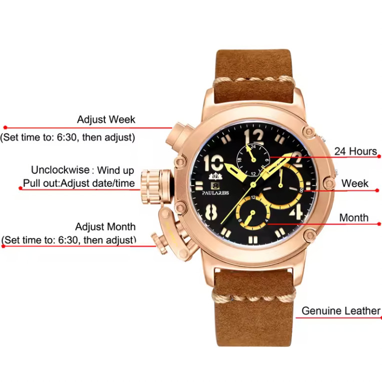 PAULAREIS Automatic Mens Watch Self Wind Mechanical Watches Leather Strap Watch