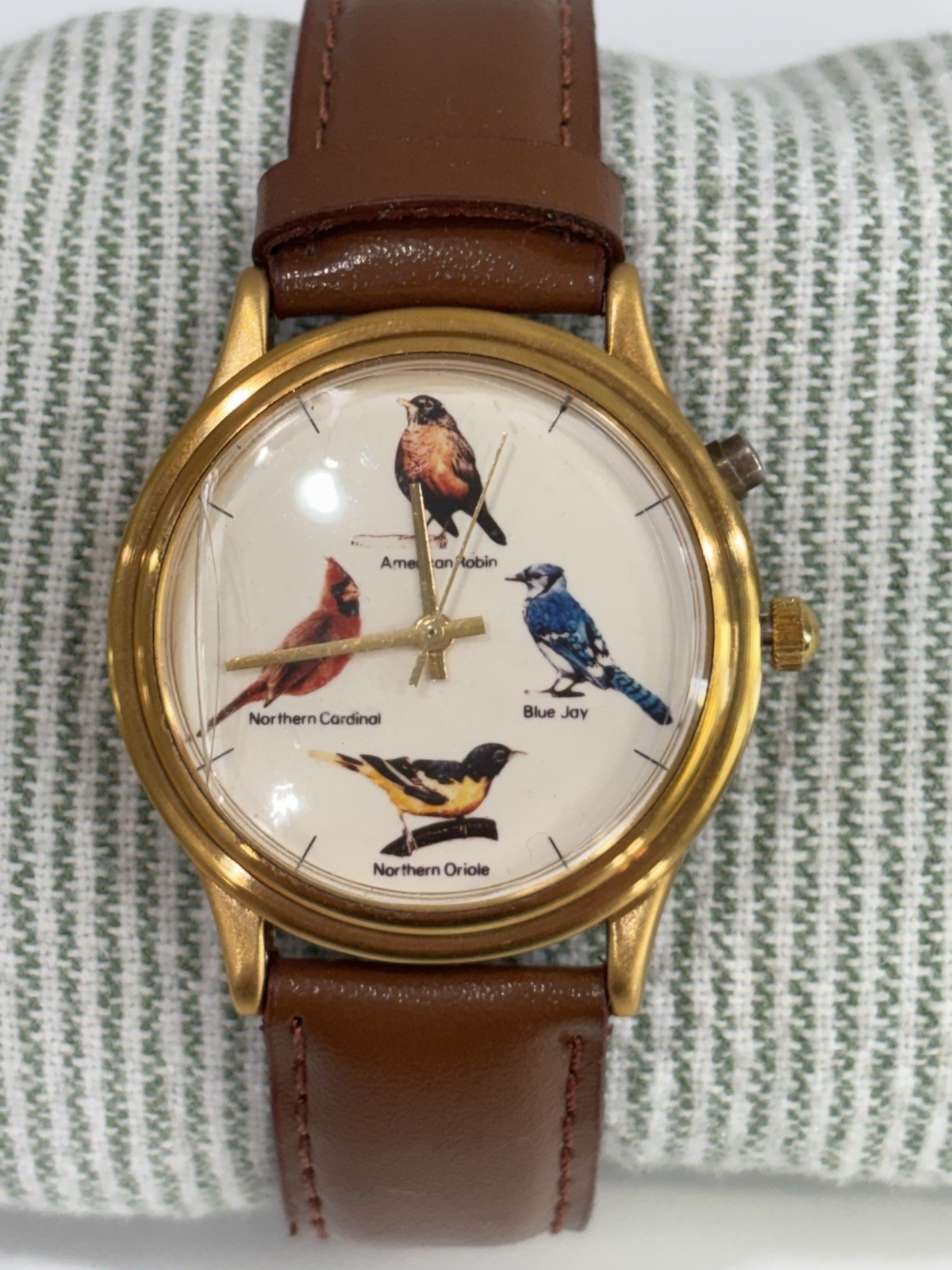 Original SINGING Bird Watch Cornell Lab Nature Sounds Leather Band Needs Battery