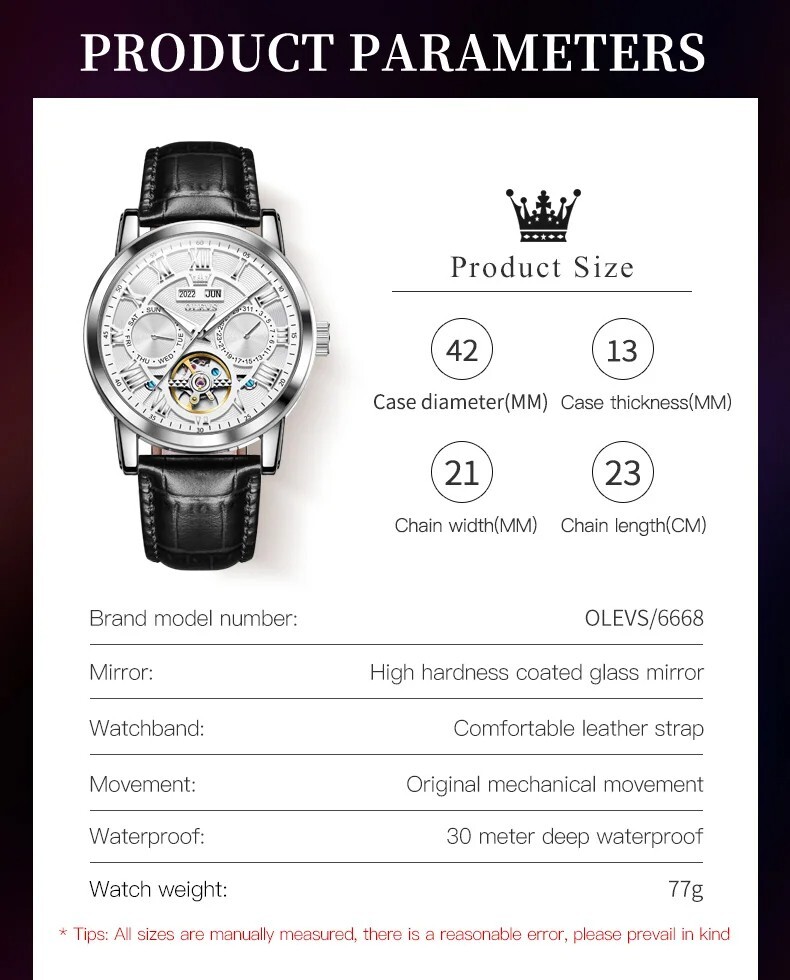 OLEVS Automatic Mechanical Men’s Watch Luxury Skeleton Waterproof Watch Strap