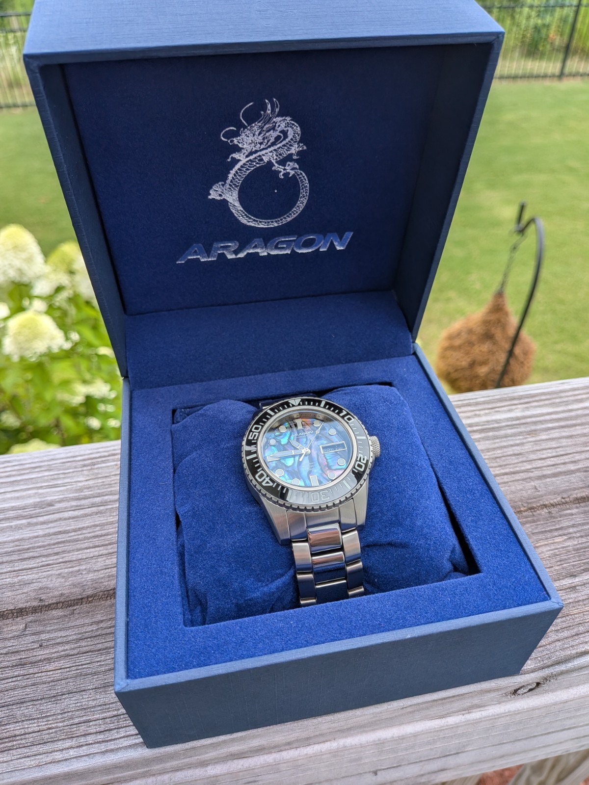 Aragon Divemaster Tungsten Automatic NH36 Men’s Watch