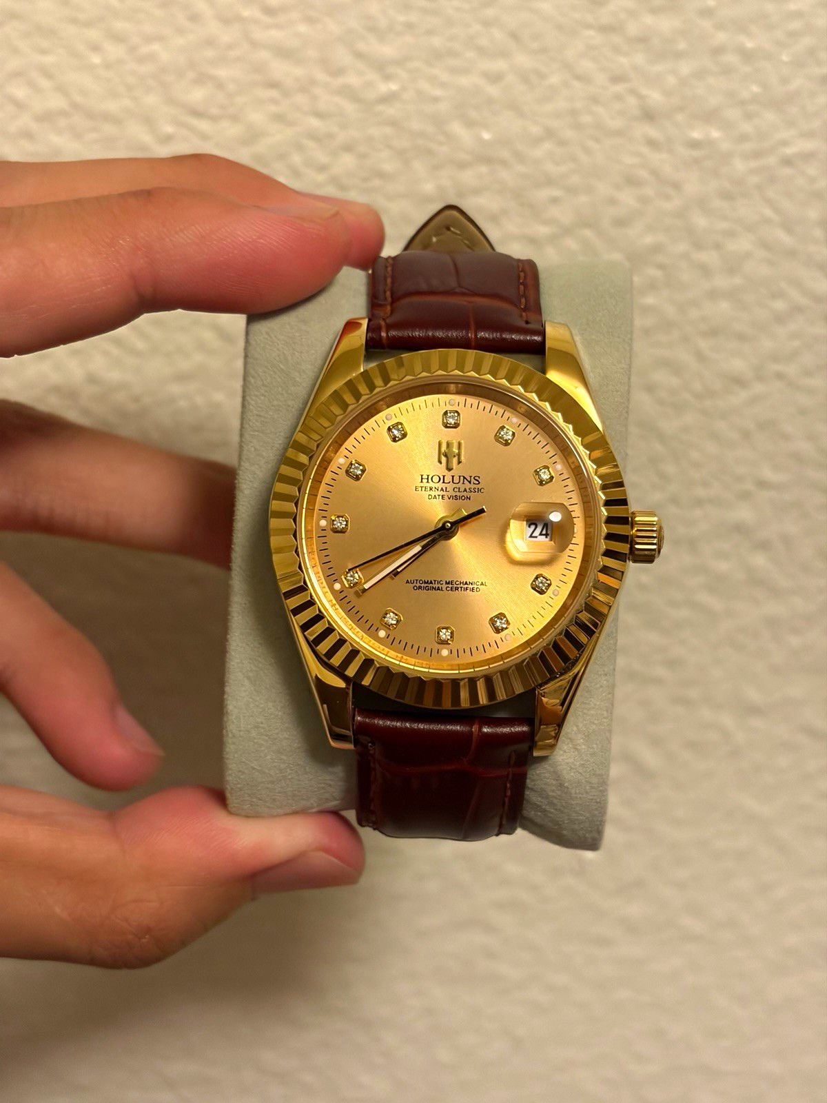HOLUNS Eternal Classic Date Vision Auto Gold Dial Brown Leather Date Exh Back