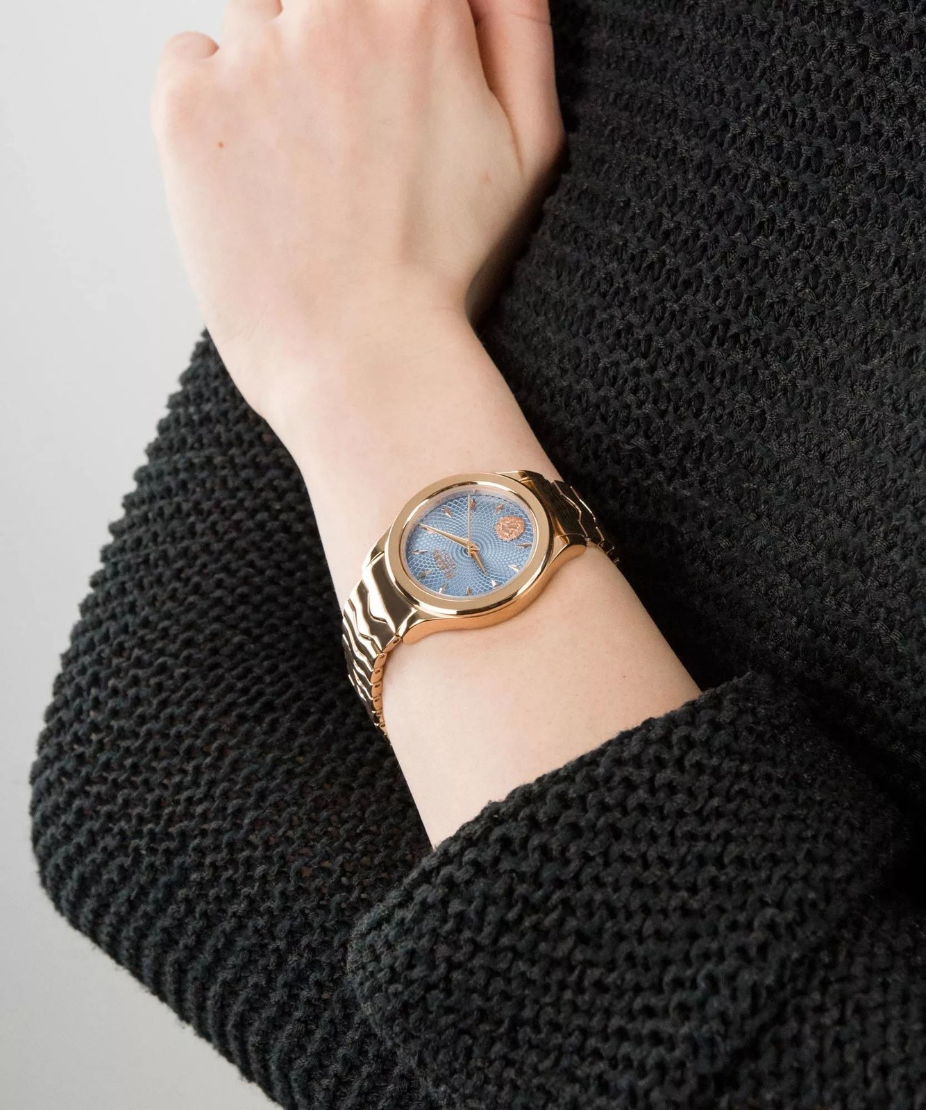 Versus Versace Ladies Mount Pleasant Watch VSP561218