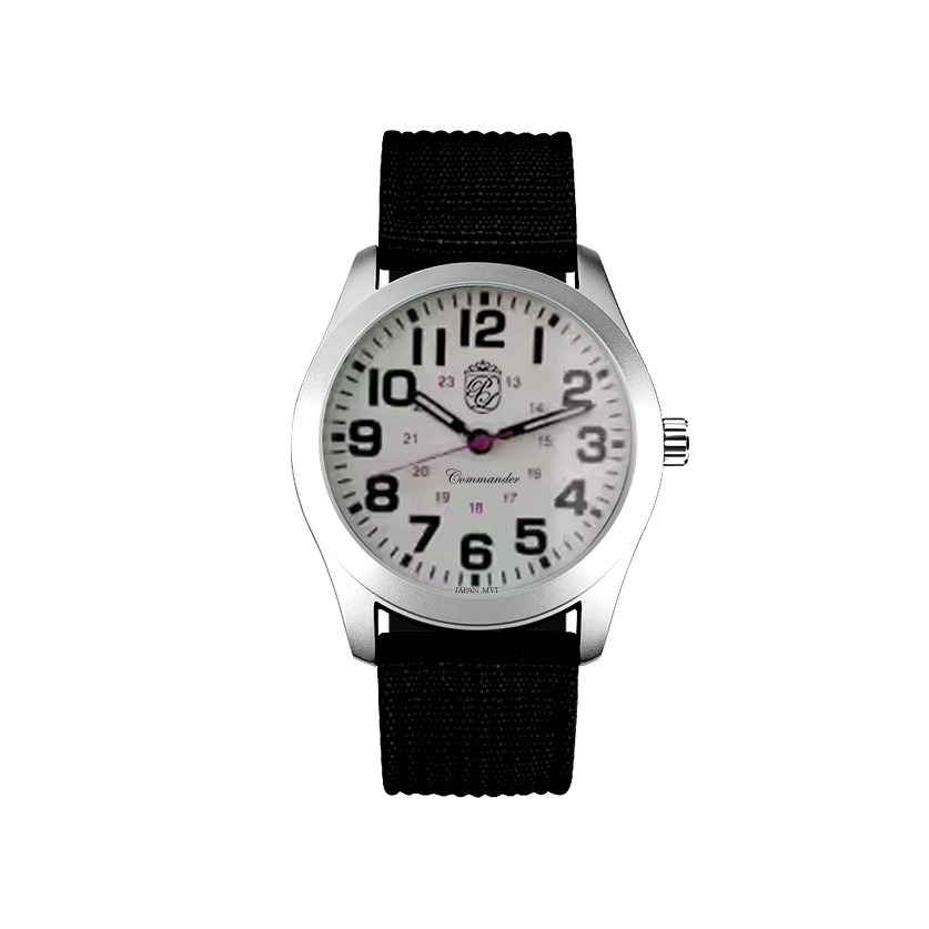 Authentic Pierre Lucerne Commander Railroad Approved Features White Dial Watch