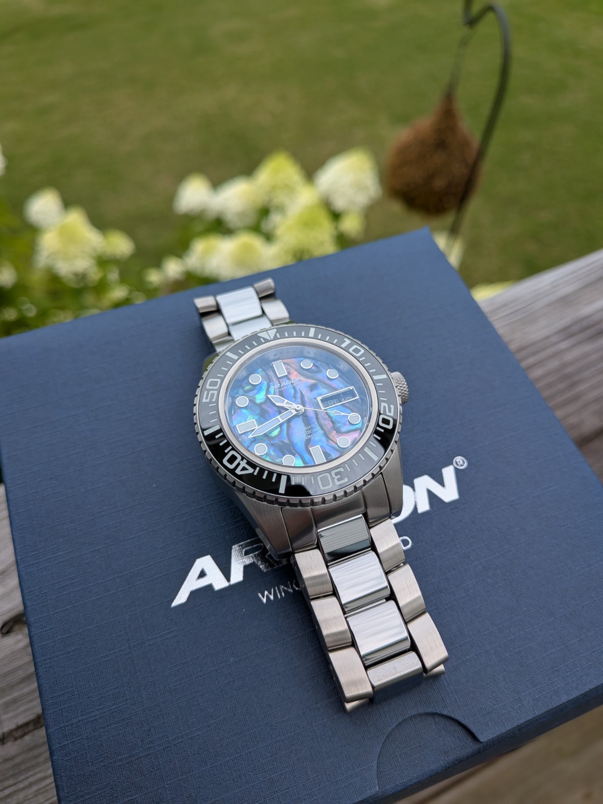 Aragon Divemaster Tungsten Automatic NH36 Men’s Watch