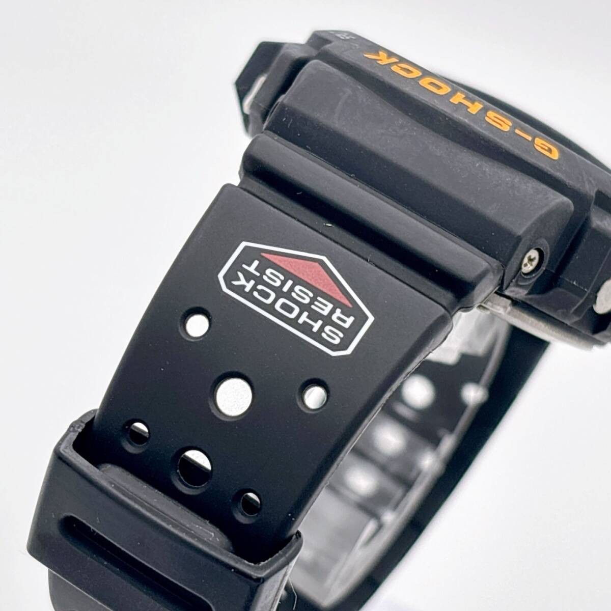 G-SHOCK DW-6600B Casio World Open Limited Edition Palm Tree Backlight