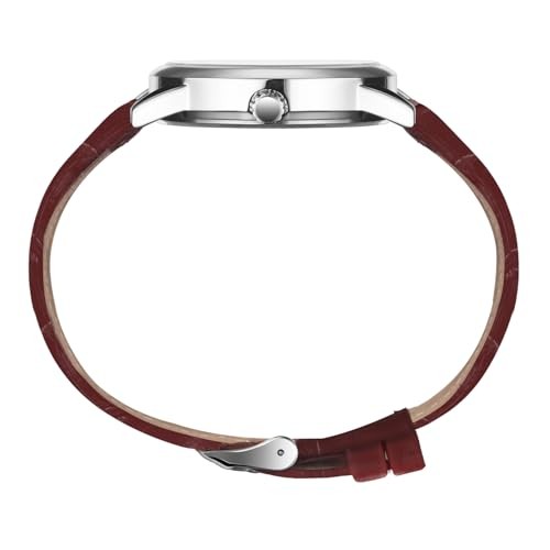 Watch for Men, Easy Reader Unisex Analog Quartz 01-Wine-red/Silver-Tone/Blue