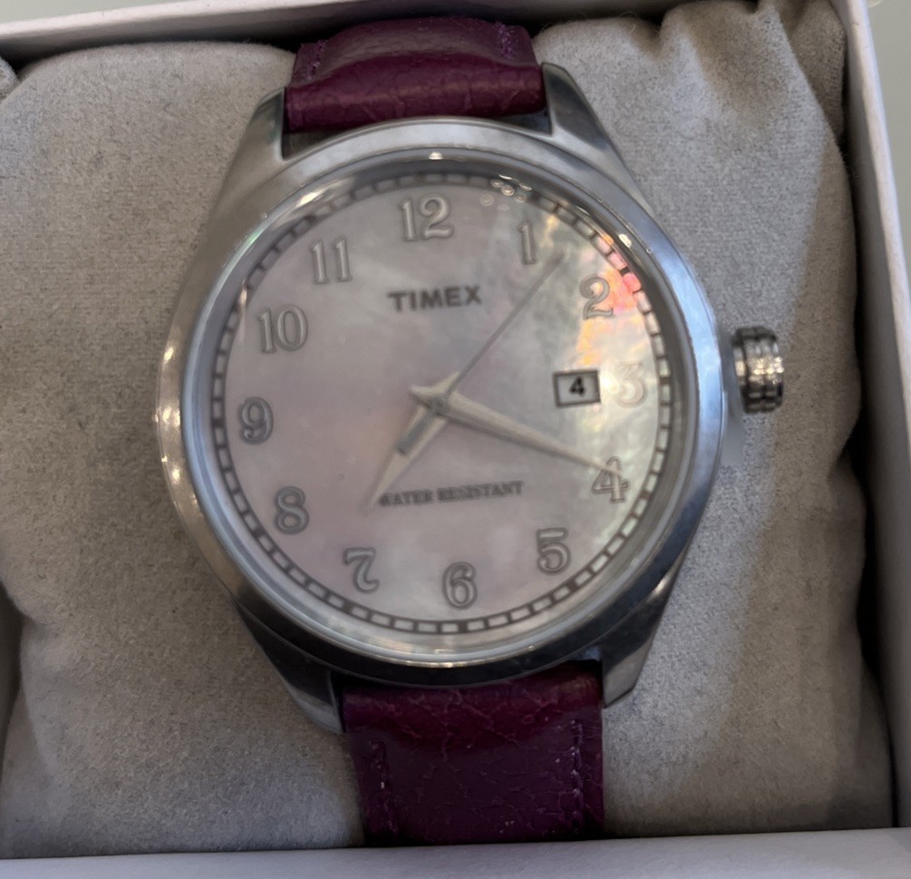 Times Plum Leather Watch