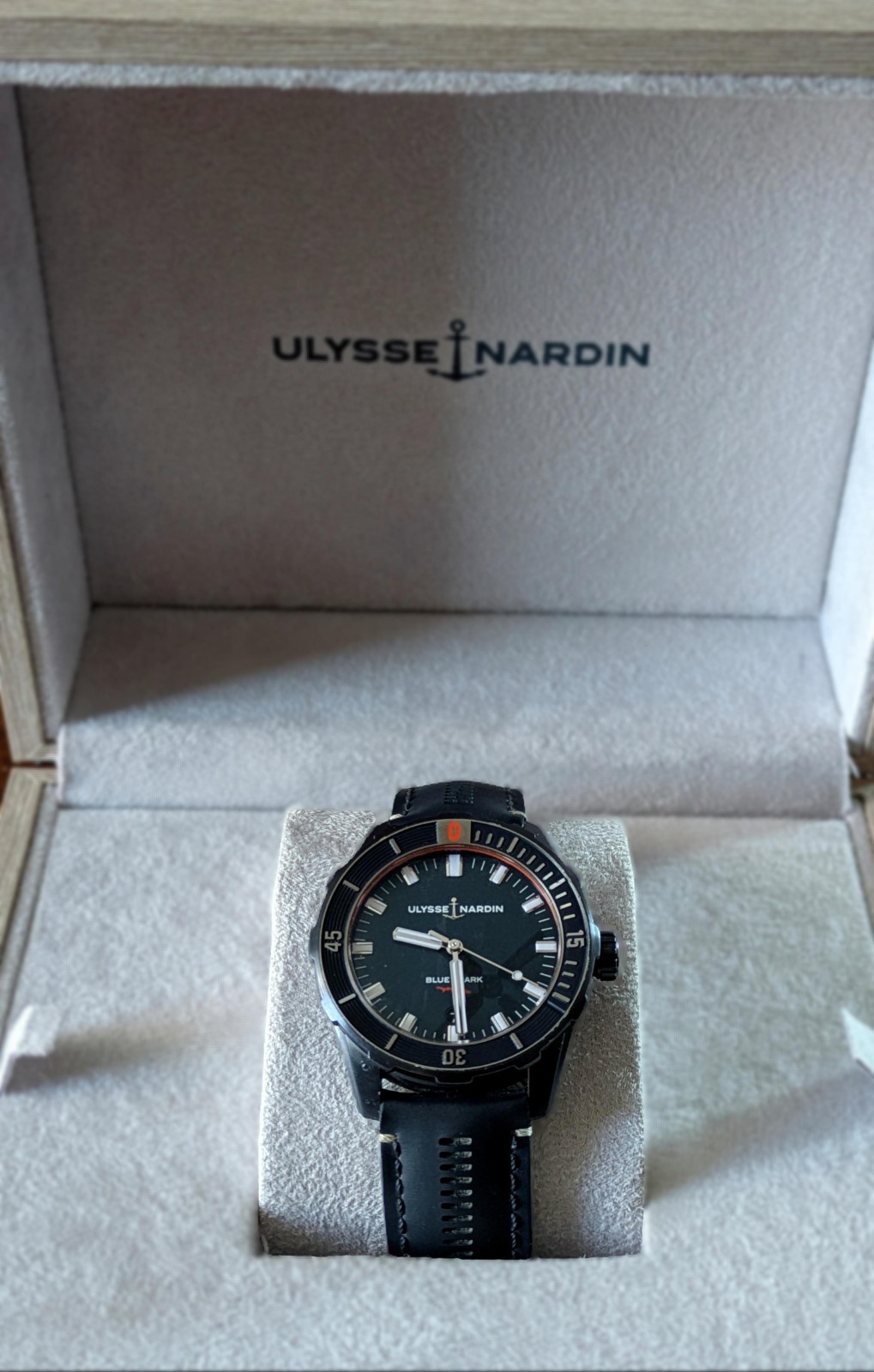 Ulysse Nardin Diver Luxury Dive Watch