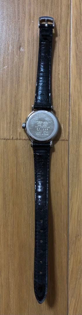 Citizen Leopard Solar Tech Watch Solar Powered Quartz Wristwatch Mens