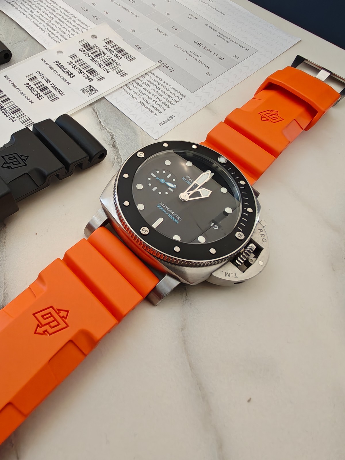 PAM02683