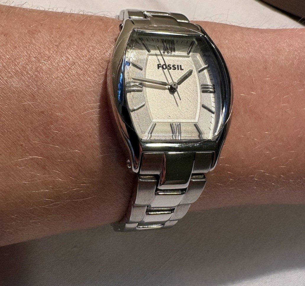 Fossil ES-3057 Women’s Stainless Steel Watch Silver/Blue