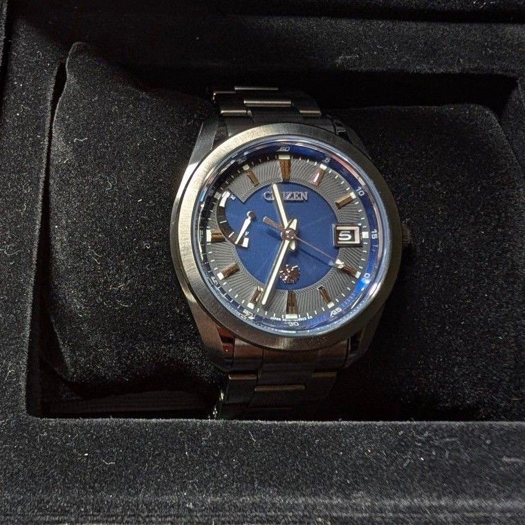 The Citizen Eco Drive Solar Watch Annual Difference 5 Seconds AQ1054 59L
