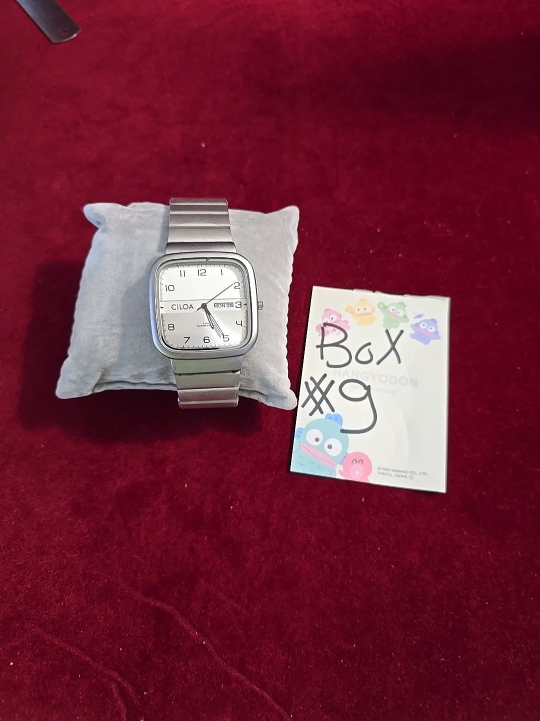 Ciloa Stainless Steel Case, Electronic Drive, Calendar Feature, Pointer Display