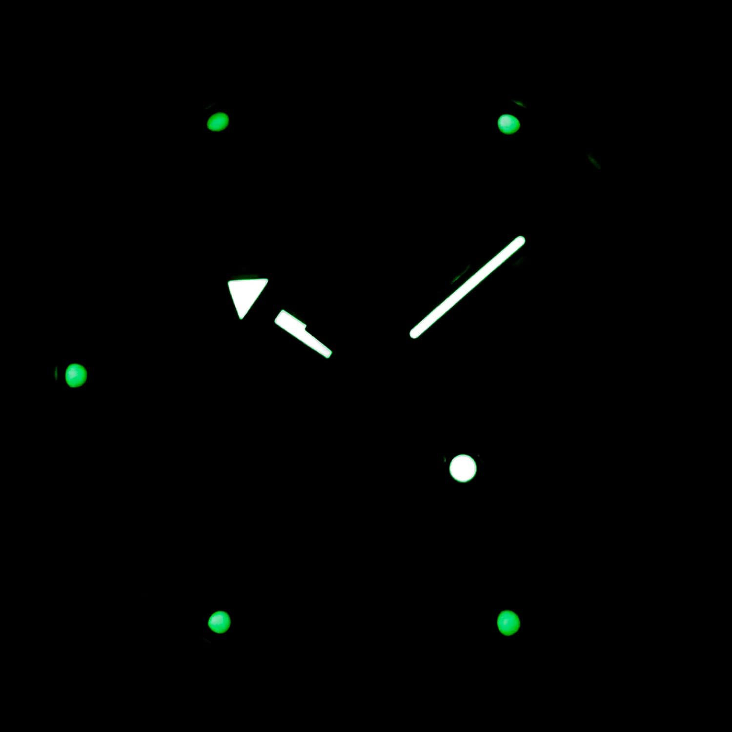 Amphibian Automatic Self-Wind Diver Watch | 200M WR | Black Dial 40mm