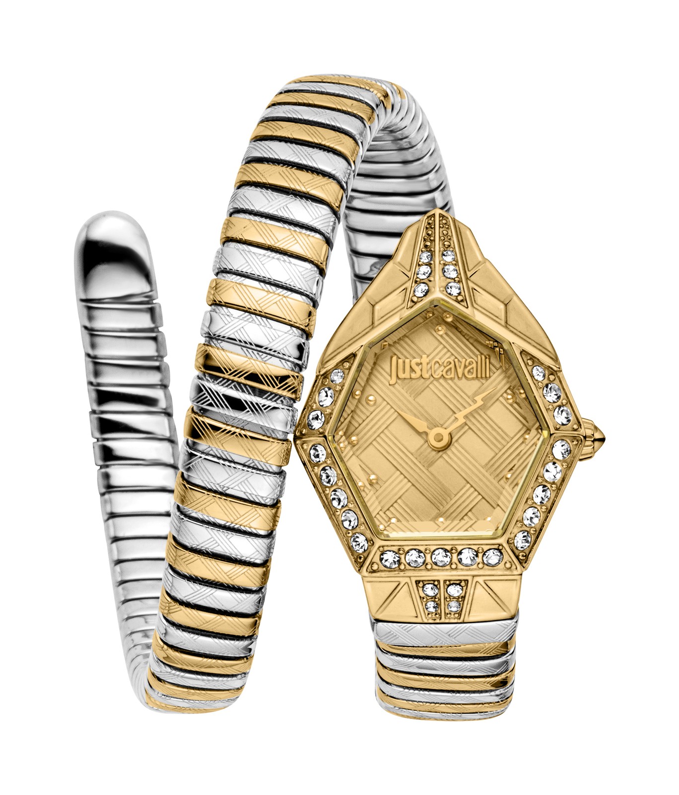 Just Cavalli Women’s Snake 23mm Quartz Watch JC1L303M0055