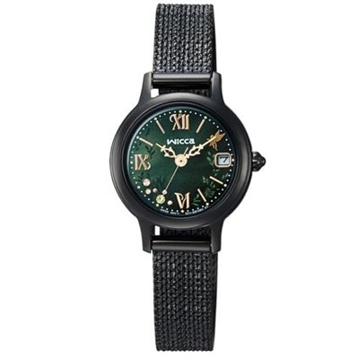 CITIZEN KH4-947-41 Wicked Elphaba Model Wicca Solar Limited Watch Collaboration