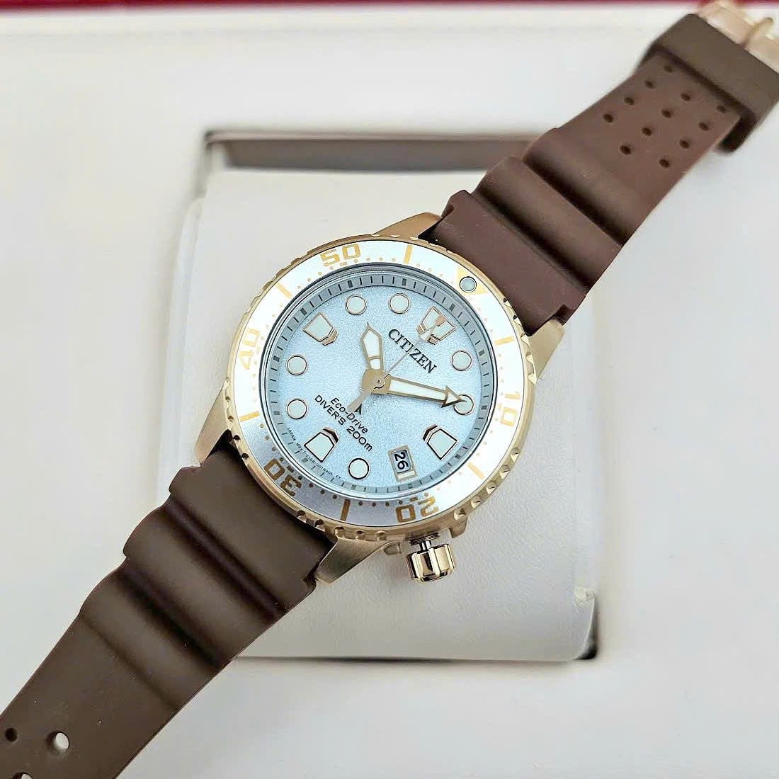 Citizen EO2022-02A Eco-Drive Rose Gold Silver Dial Promaster Diver Women’s Watch