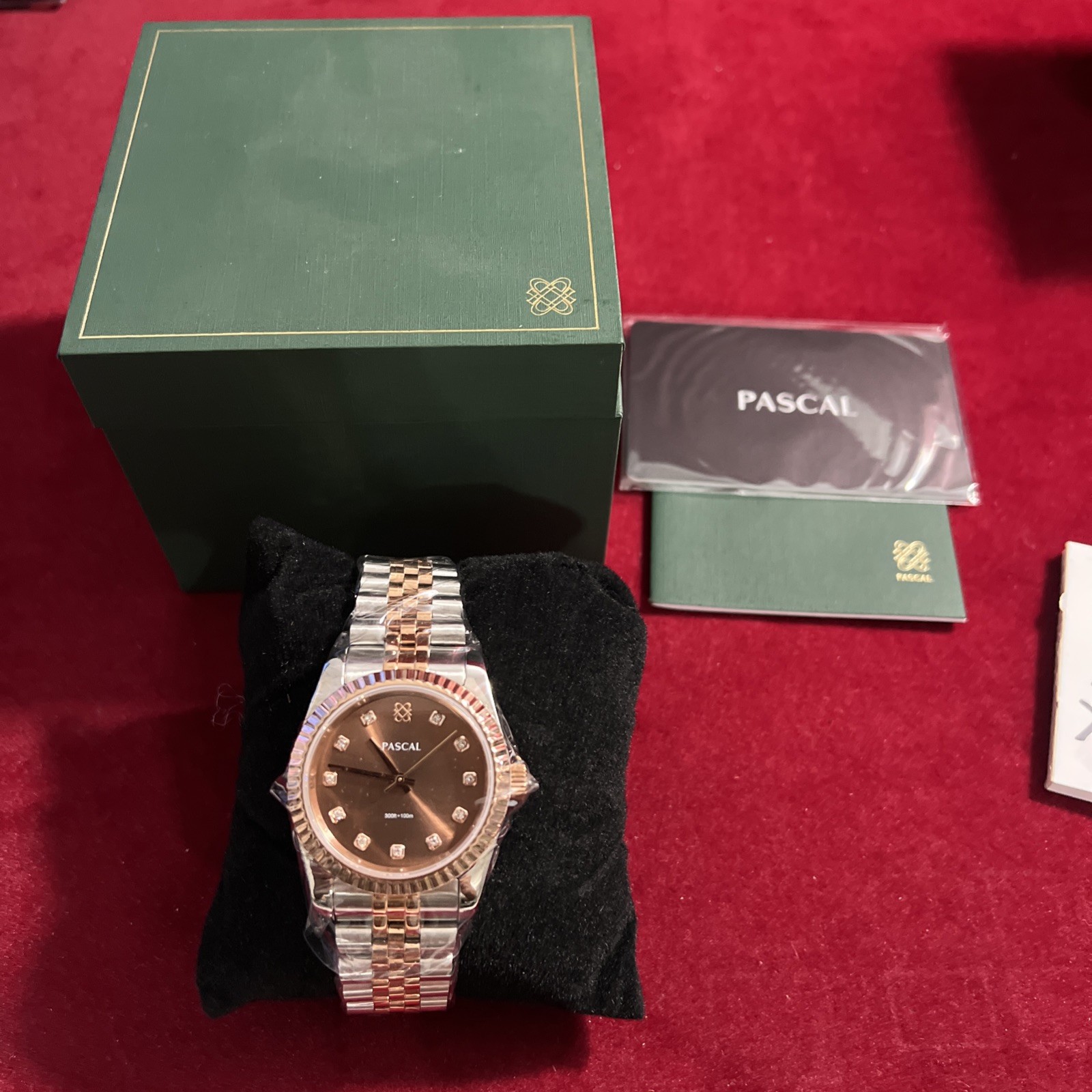 PASCAL Timeless Classic Diamond Watch for Men Women Lab Grown Quartz 36mm Brown