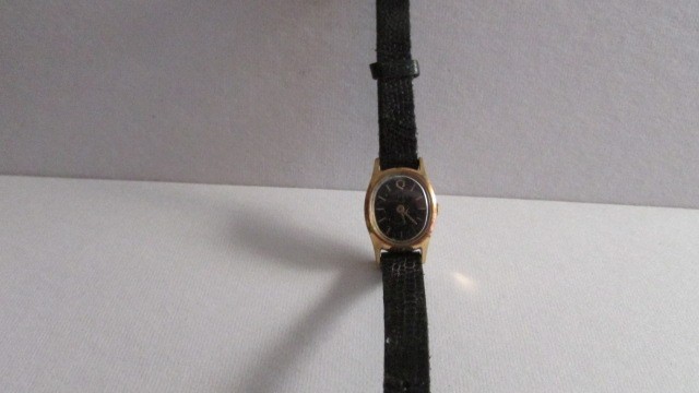 Timex Watch # 1738