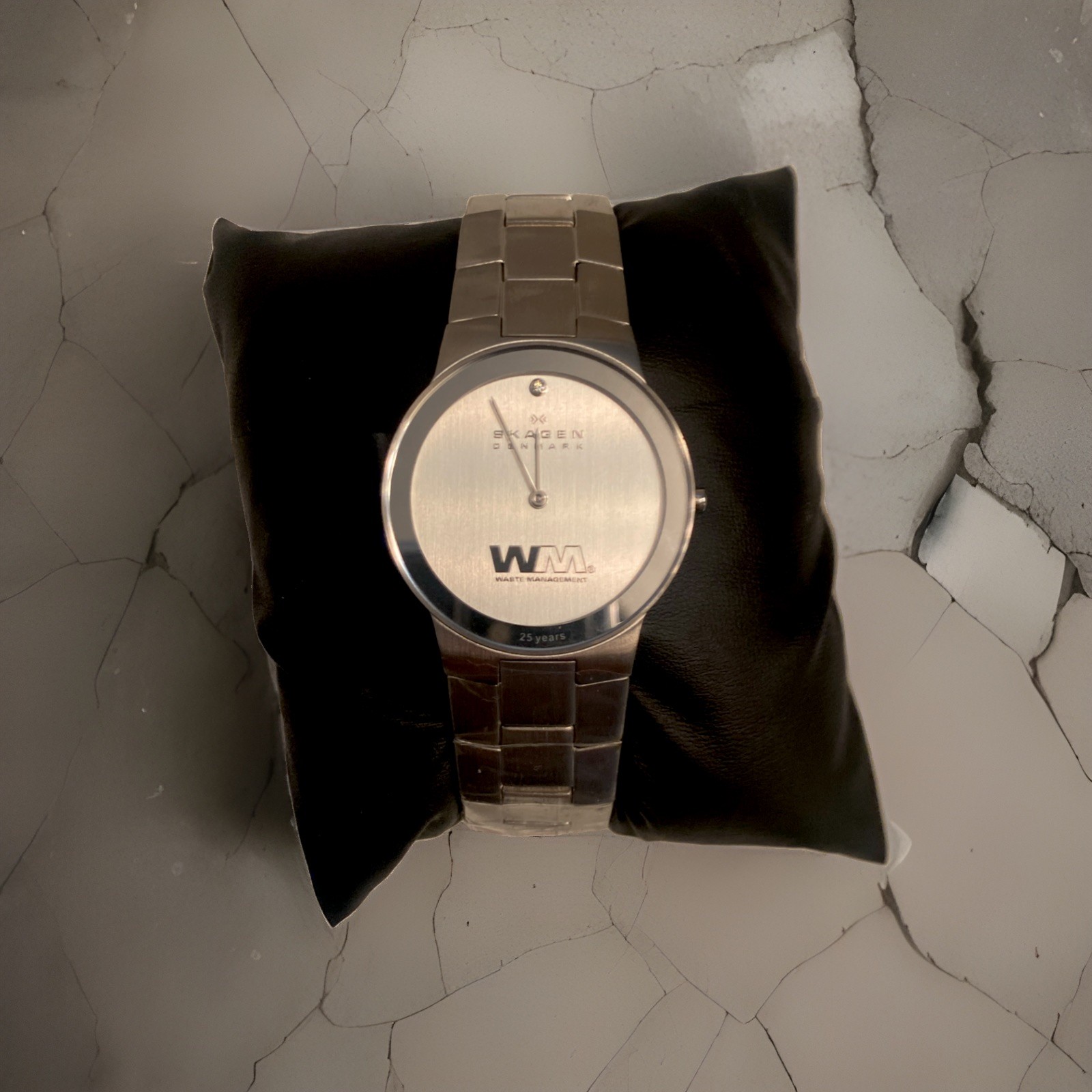 Skagen Denmark WM Waste Management 25 Years Diamond Quartz Watch