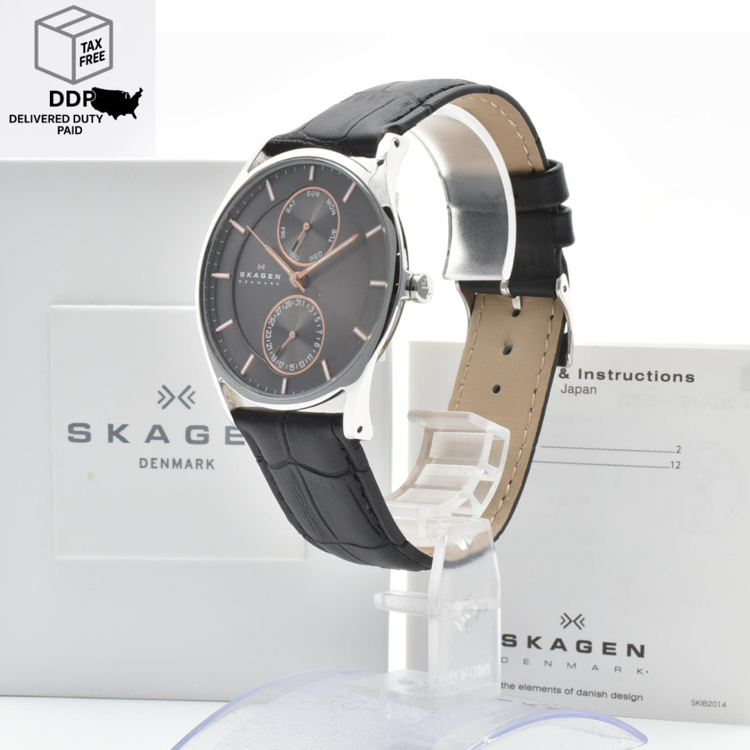 [ MINT ] Skagen SKW6086 Day & Date Quartz Watch Silver New Leather Band JAPAN