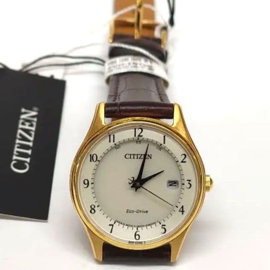 Brand New CITIZEN Eco Drive ES0002 14P with Manufacturer’s