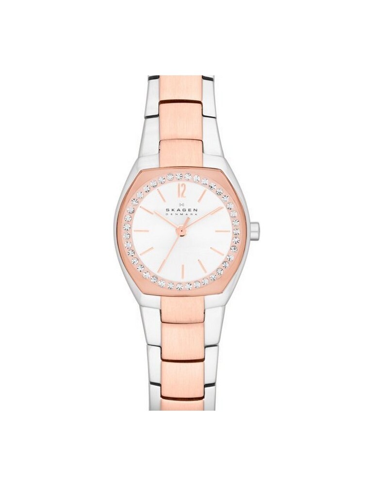 Skagen Women’s SKW2112 Asta Quartz Watch Analog Two-Tone Silver Rose Gold