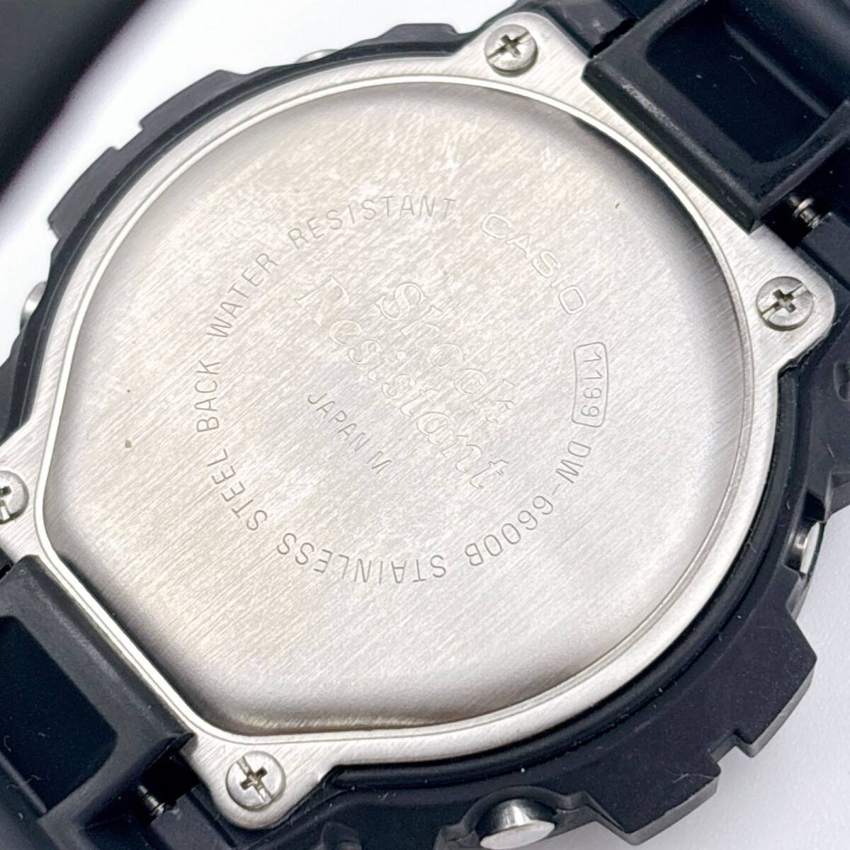 G-SHOCK DW-6600B Casio World Open Limited Edition Palm Tree Backlight