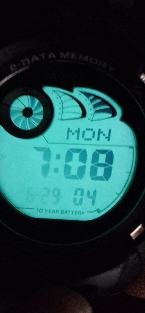 CASIO G-SHOCK G-2900 e-DATA MEMORY