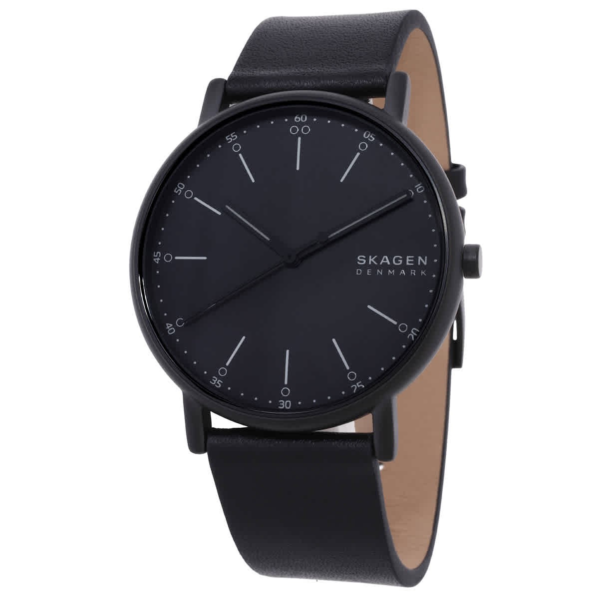 Skagen Signatur Black Dial Men’s Watch SKW6902