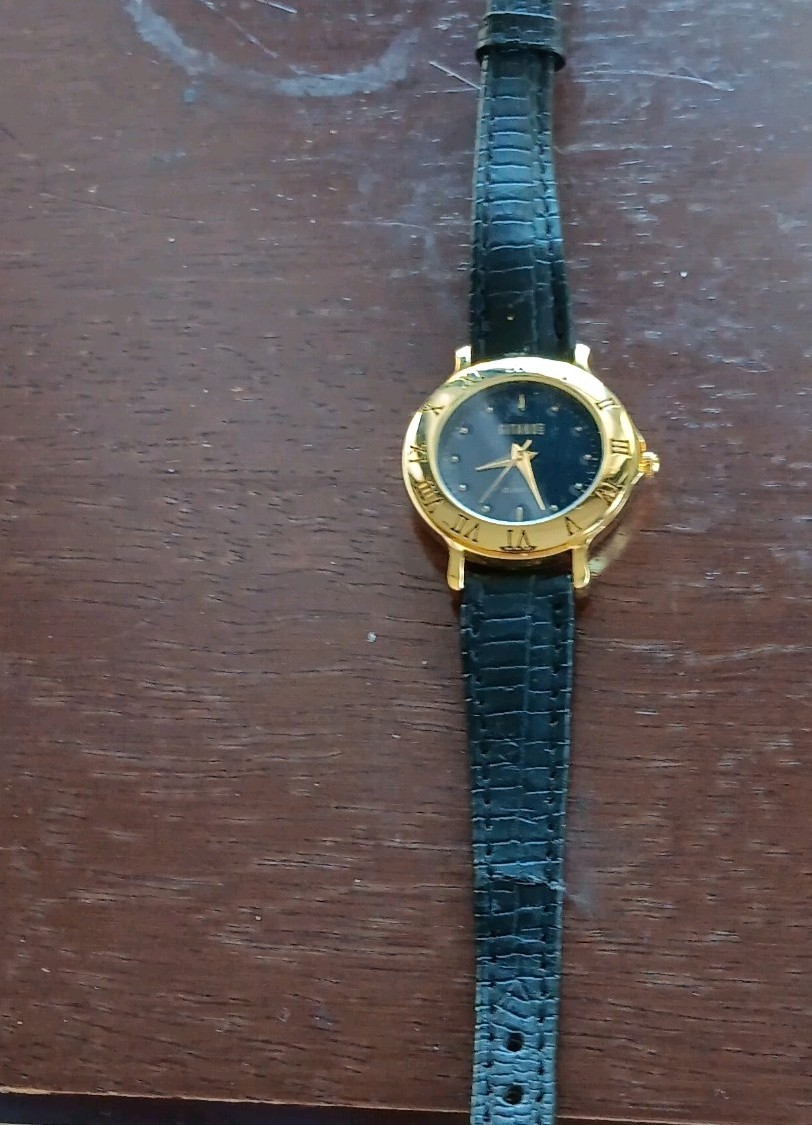 Gitano Gold-Tone Quartz Black Leather Strap Roman Numeral Black Dial Watch
