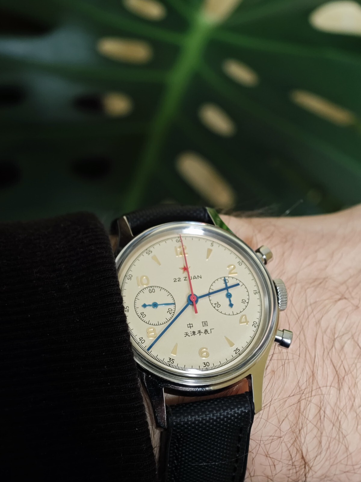 Seagull 6345A2901 Men’s cronograph watch international edition