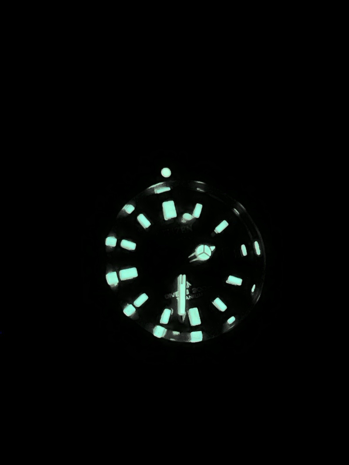Citizen Promaster Titanium “Fujitsubo”35 Anniversary Special Edition NB6026-56L