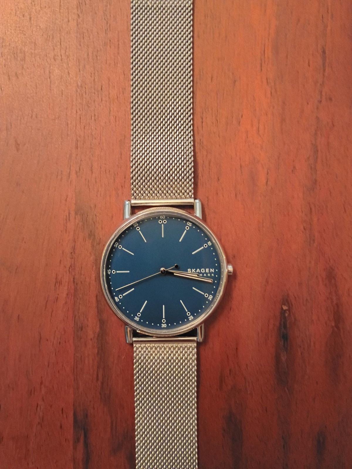 Skagen Signatur Blue Dial Men’s Watch SKW6904