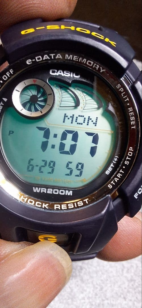 CASIO G-SHOCK G-2900 e-DATA MEMORY