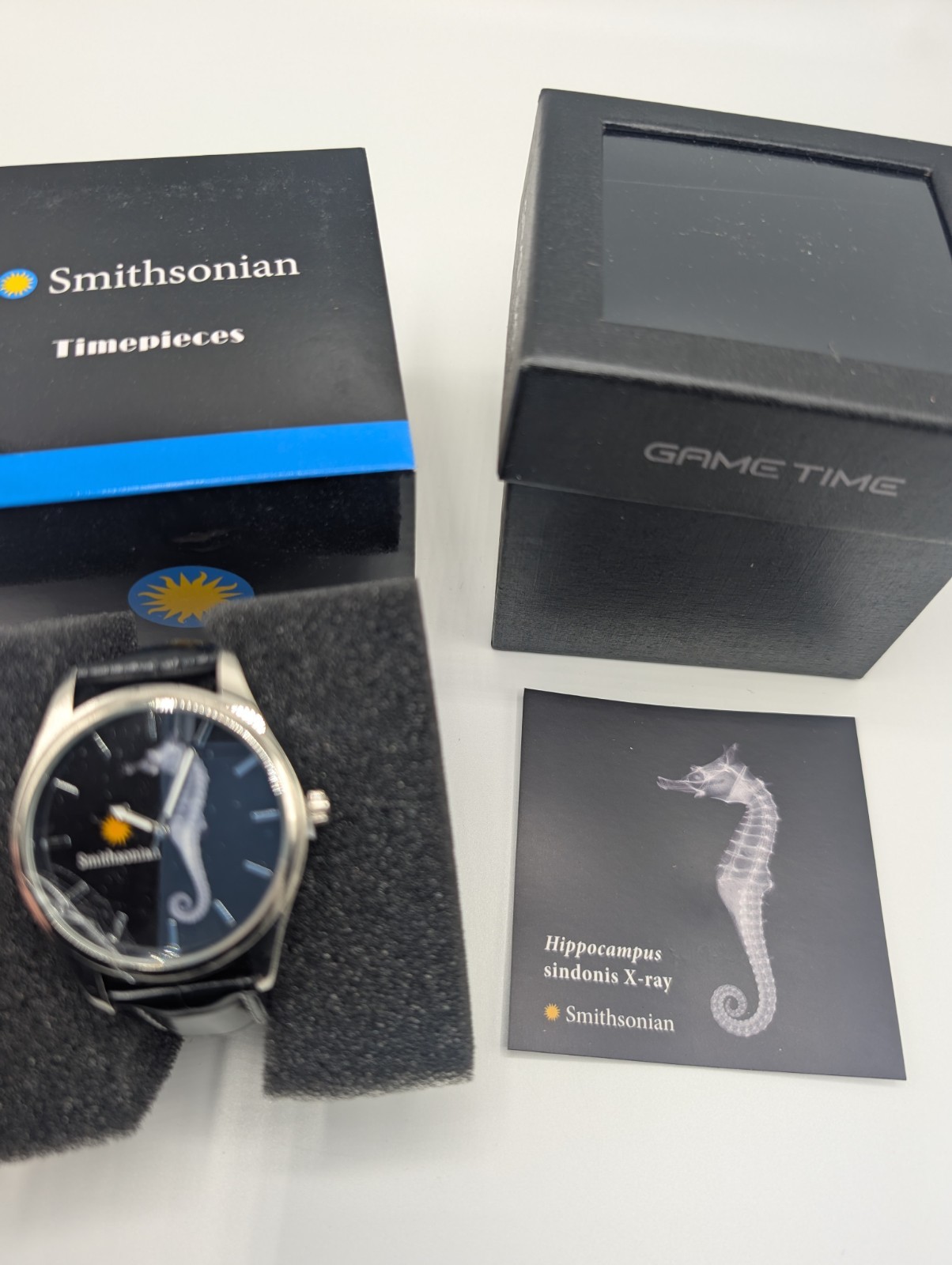 Smithsonian Seahorse X-Ray Watch NEW Hippocampus Sindonis Leather Game Time