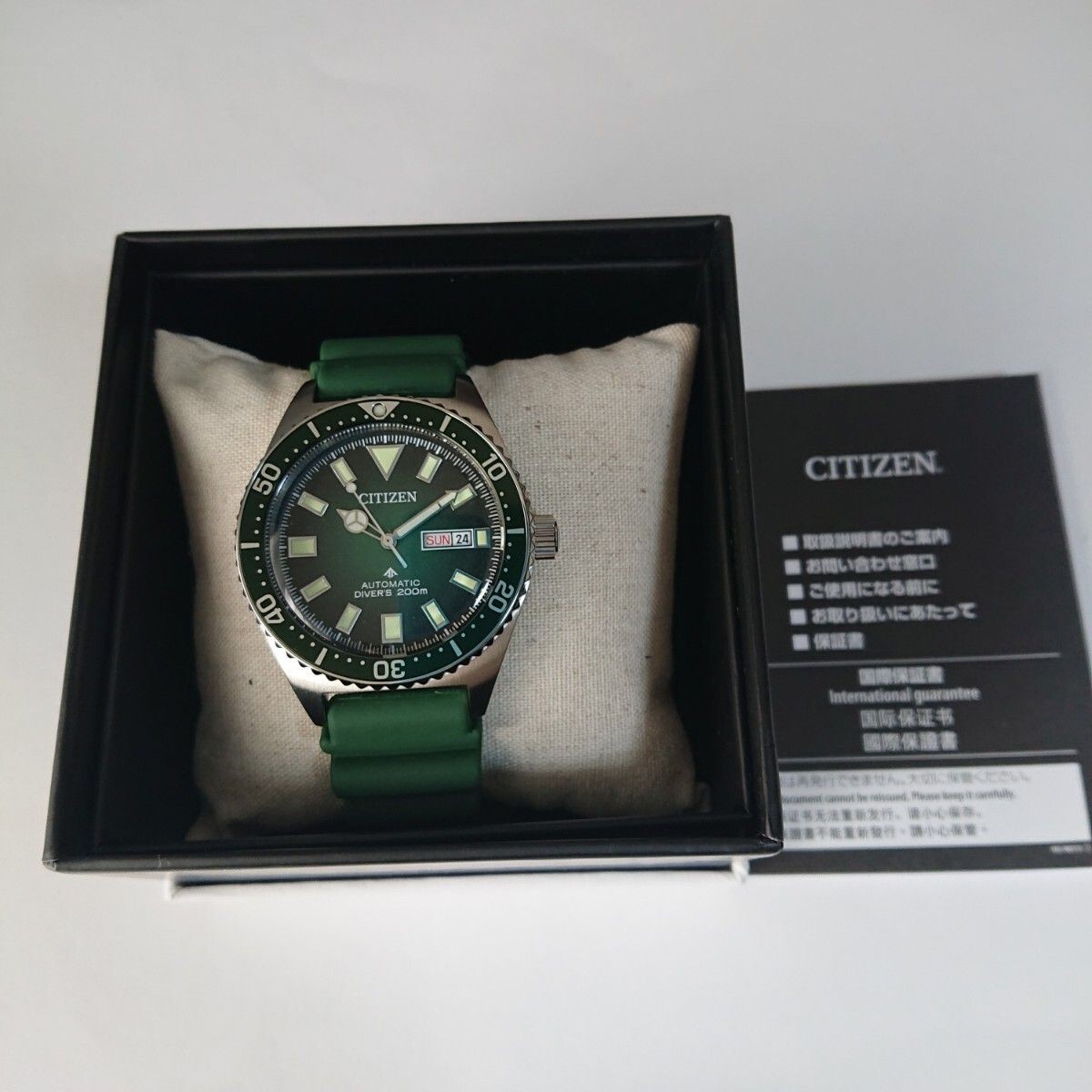 Overseas model Citizen Promaster NY0121 09X PROMASTER MARINE diver 200m automati