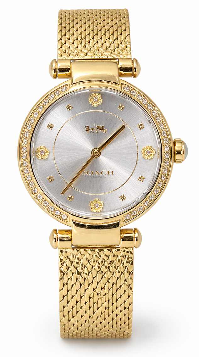Coach Cary 14503997 Women’s Gold Tone Crystal Accent Mesh Watch Silver Dial 34mm