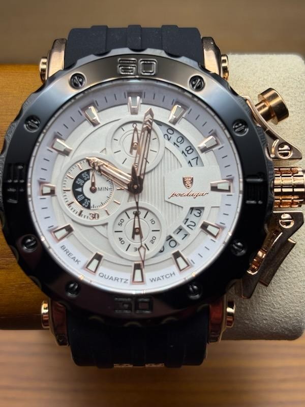 POEDAGAR Mens Luxury Watch 50mm Chronograph Luminous Date Waterproof Steel Gift