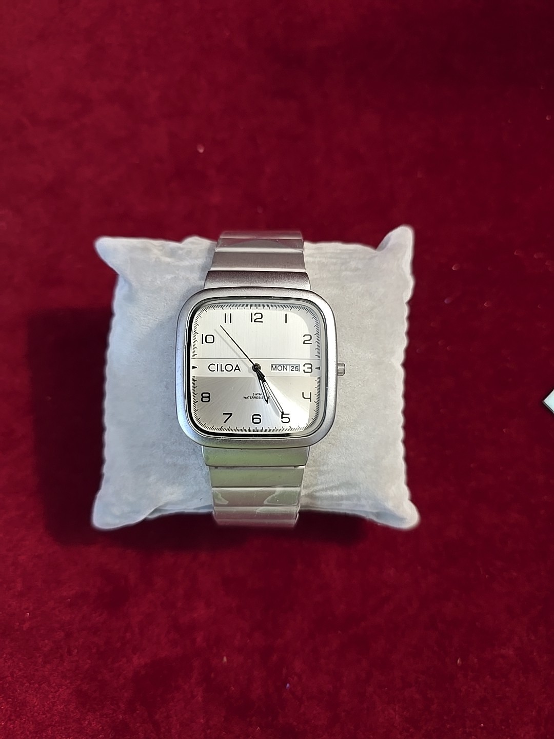 Ciloa Stainless Steel Case, Electronic Drive, Calendar Feature, Pointer Display