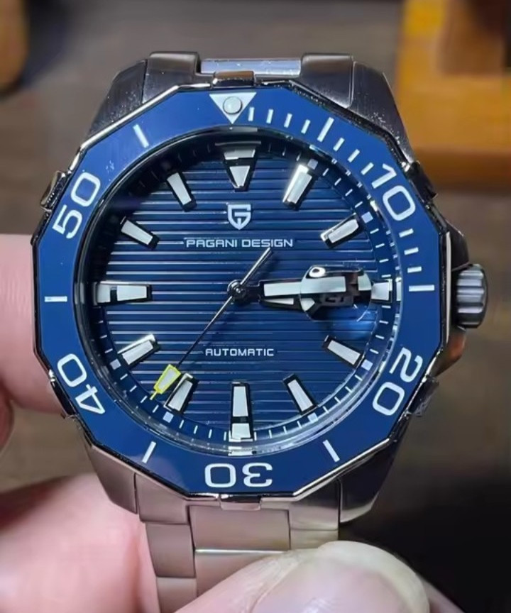 Pagani Design Automatic Mechanical Watch For Men’s Stainless Steel Luxury Date