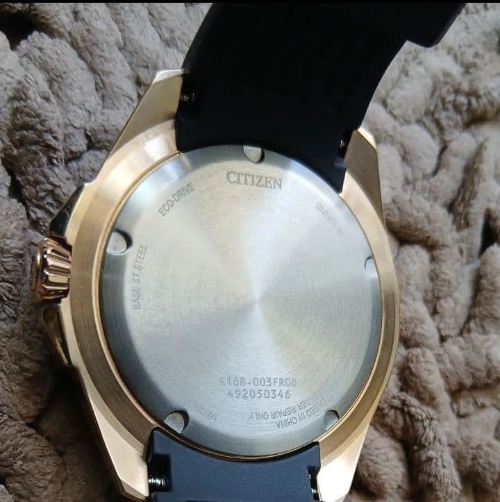 Citizen Promaster BN0196 01L