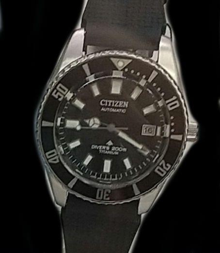 Super Model Citizen Promaster NB6021 17E