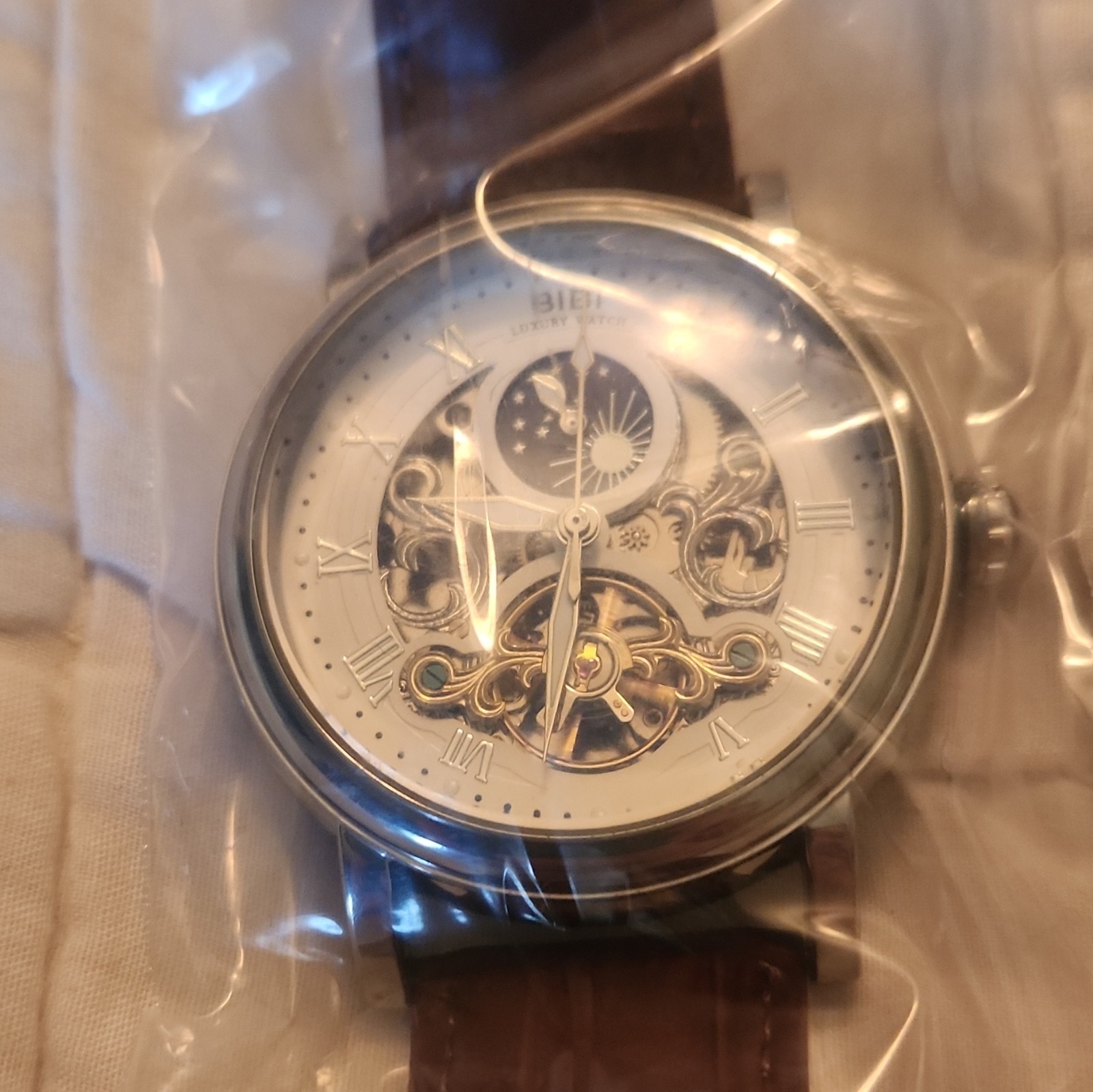BIBI Luxury Automatic Skeleton Watch Silver Stainless Case Brown Leather Box