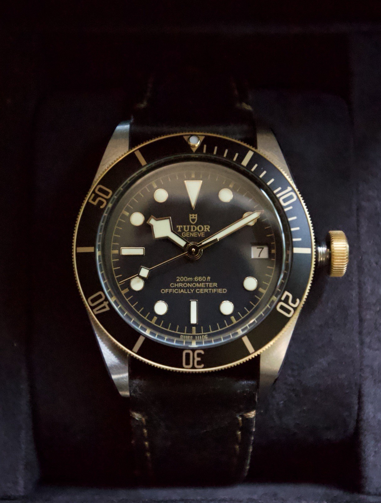 TUDOR Black Bay S&G M79733N-0001