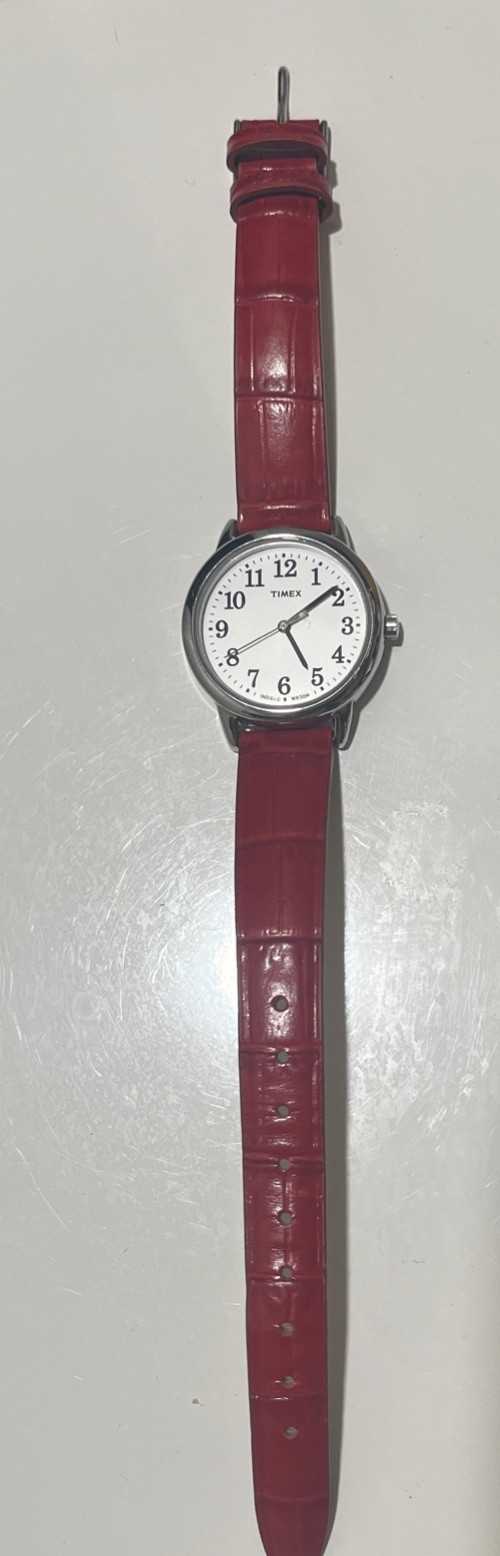 Timex Ladies Easy Reader Quartz 30mm Watch – TW2P68700 NEW