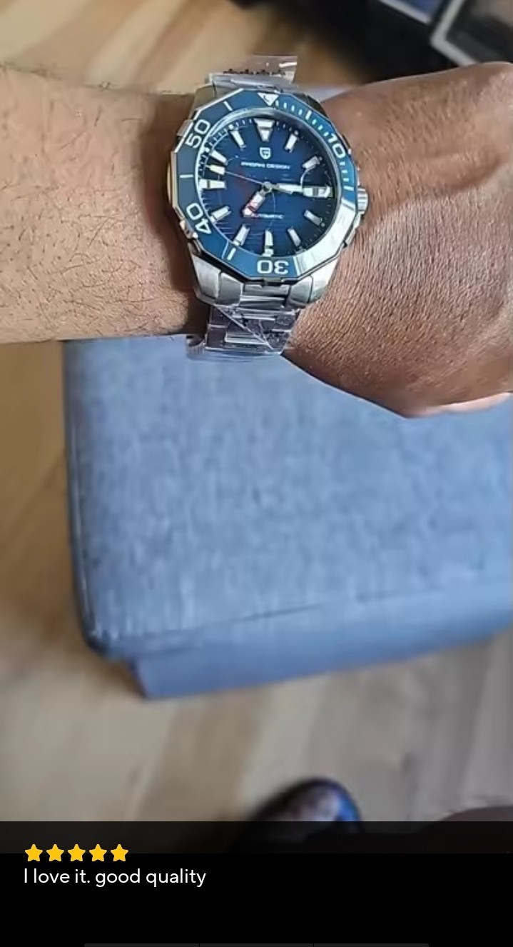 Pagani Design Automatic Mechanical Watch For Men’s Stainless Steel Luxury Date